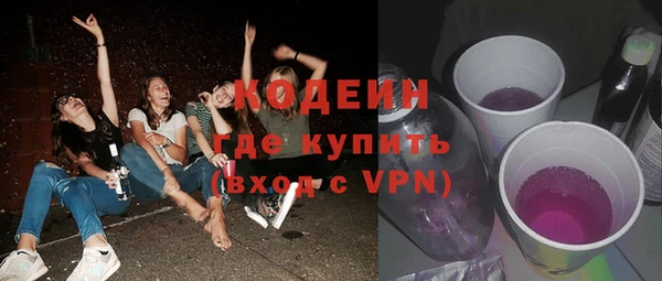 сатива Бородино