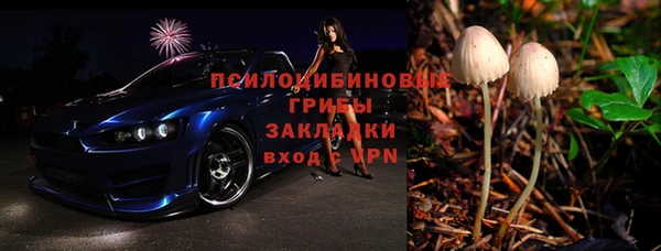 твердый Снежногорск