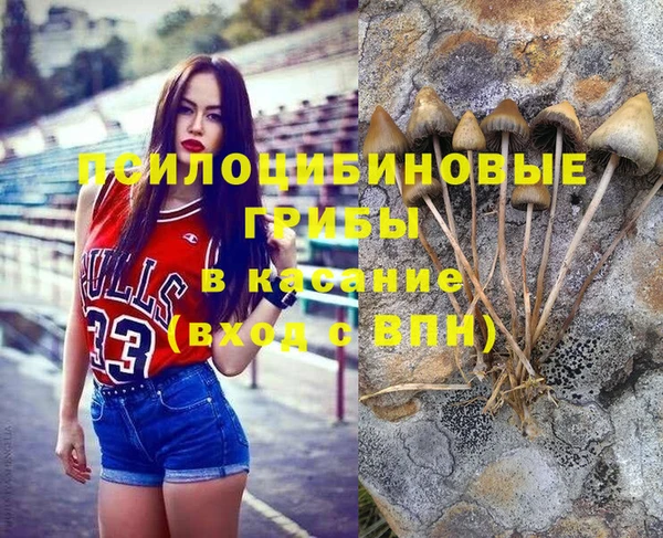 2c-b Богданович