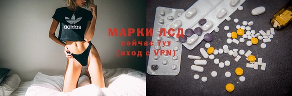 шишки Богородск