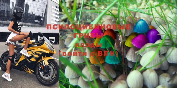 2c-b Богданович