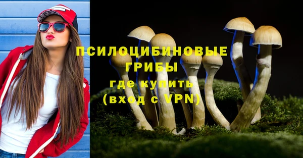 мескалин Богородицк