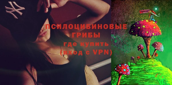 шишки Богородск