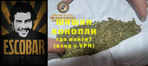 сатива Бородино