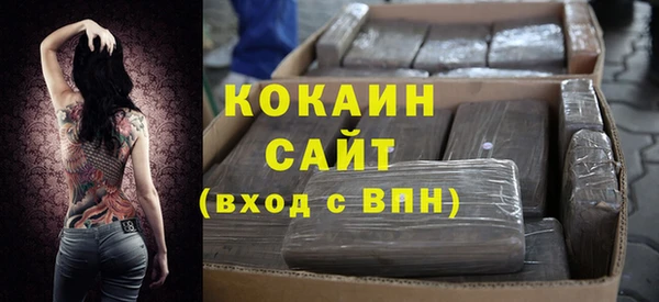 шишки Богородск