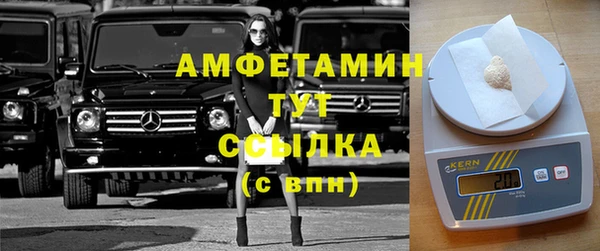 сатива Бородино