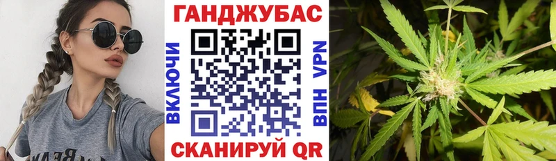 Конопля гибрид Междуреченск