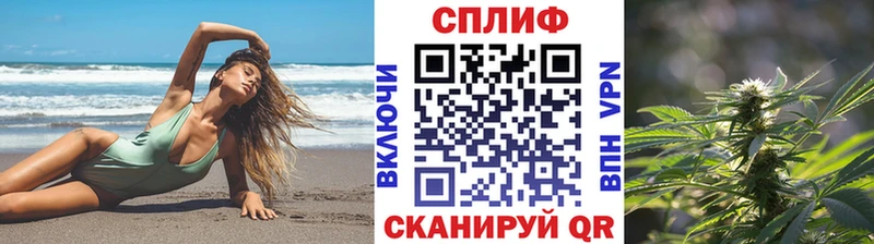 Бошки Шишки план  Междуреченск 